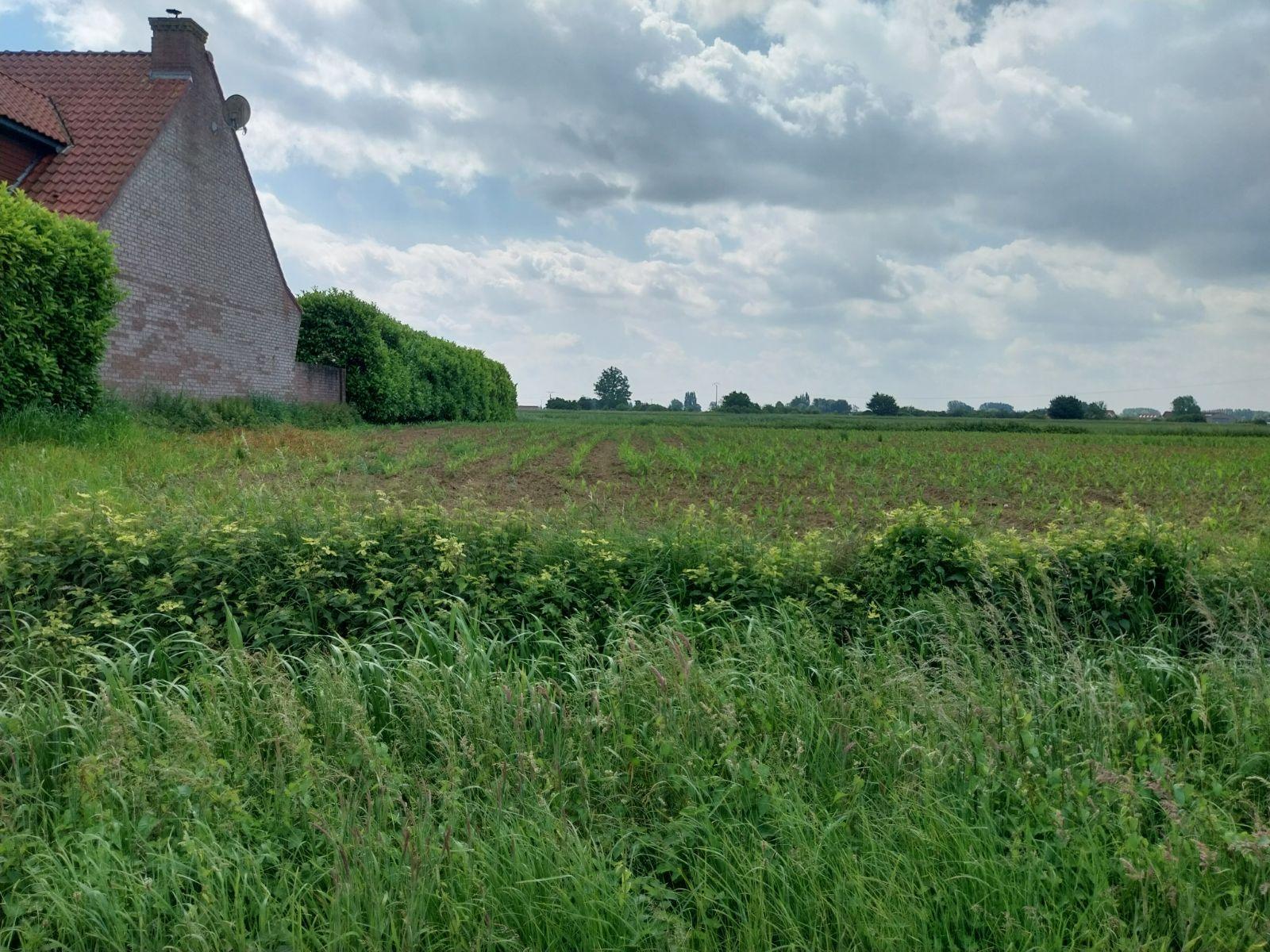 terrain à La Couture